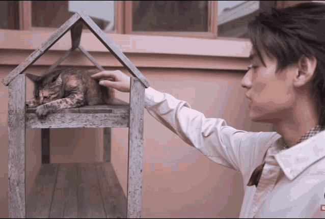 a man petting a cat that is sleeping on a shelf