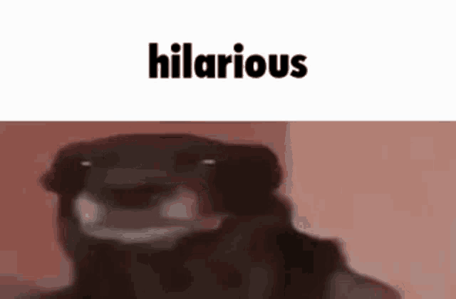 a dog is making a funny face with the word hilarious written above it .