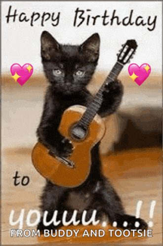 a black cat is holding a guitar on a birthday card .