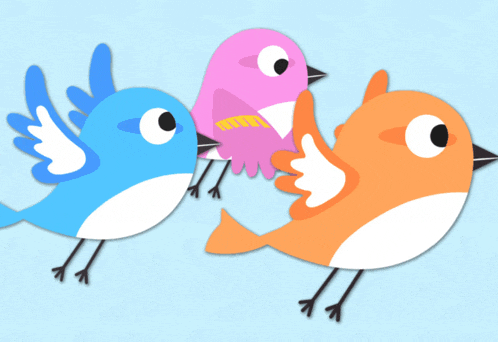 three colorful birds are standing next to each other