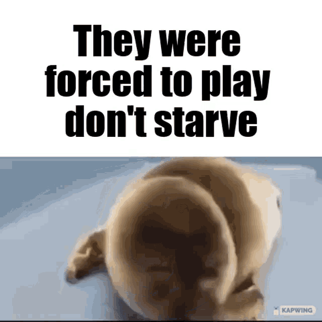 They Were Forced To Play GIF - They Were Forced To Play Dont Starve GIFs