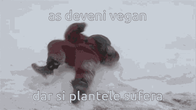 Plantele Sufera Vegan GIF - Plantele Sufera Vegan Cruf GIFs