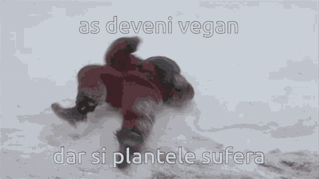 a person laying in the snow with the words as deveni vegan