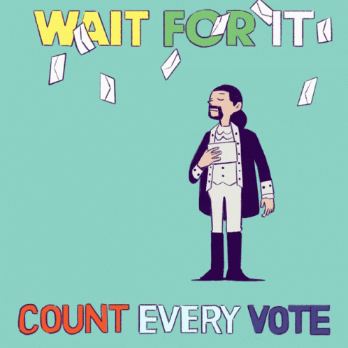 Count Every Vote Wait For It GIF - Count Every Vote Wait For It Be Patient GIFs