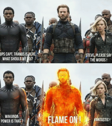 Wakanda Forever Avengers GIF - Wakanda Forever Avengers Flame On GIFs
