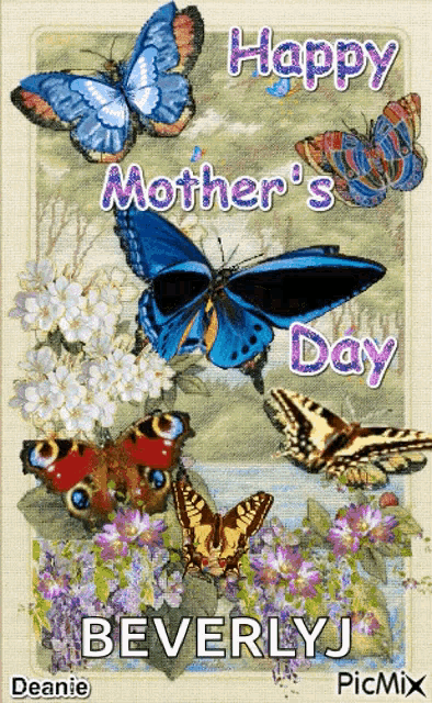 a mother 's day card with butterflies and flowers and the name beverlyj