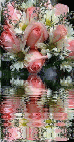 Roses Pink GIF - Roses Pink Flowers GIFs