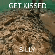 a person is standing on a pile of rocks with the words `` get kissed silly '' written on the bottom .