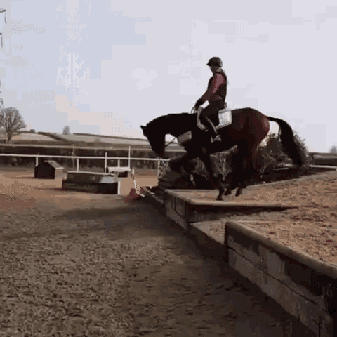 Horse I Dont Care What You Say GIF - Horse I Dont Care What You Say Fall GIFs