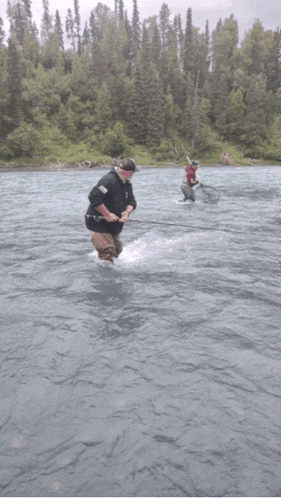 a group of people are fishing in a river with trees on the shore