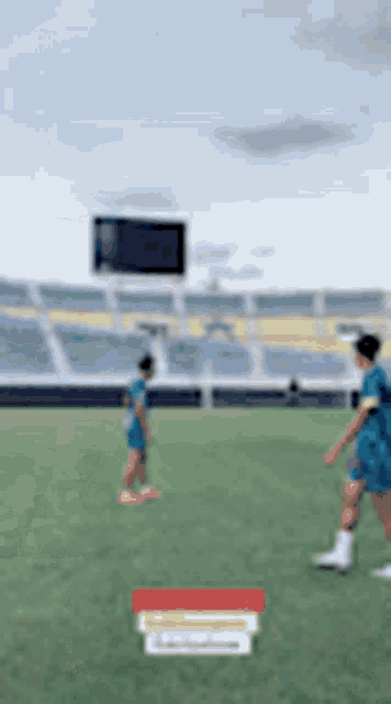 Terengganu Footballclub GIF - Terengganu Footballclub Webleedblackandwhite GIFs
