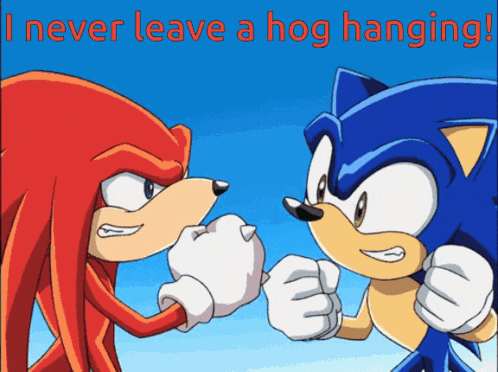a cartoon of knuckles and sonic with the words " never leave a hog hanging " above them
