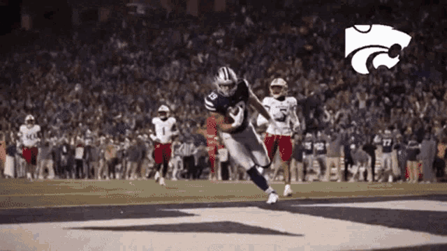 a football player is running with the ball on the field