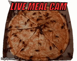 a picture of a pizza with cockroaches on it and the words live meal cam
