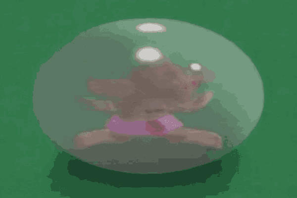 a toy monkey is sitting inside of a clear ball on a green background