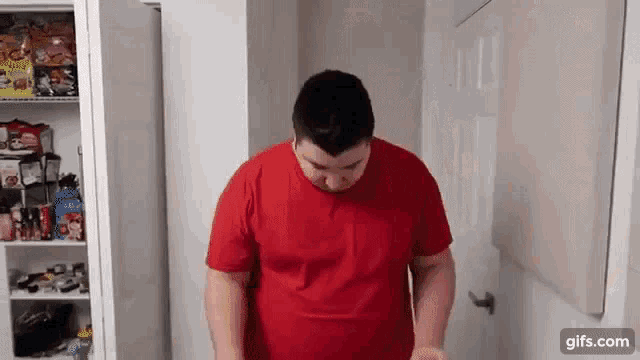 Overweight Obese GIF - Overweight Obese Nikocado GIFs