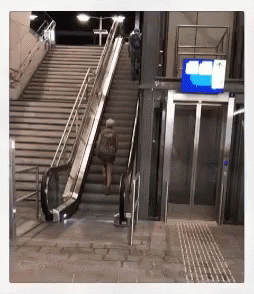 Escalator Wrong GIF - Escalator Wrong Way GIFs