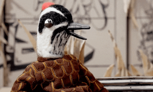 a black and white bird with a red beak is sitting on a bench