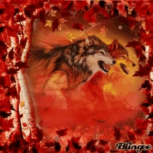 a wolf is running through a forest with red leaves