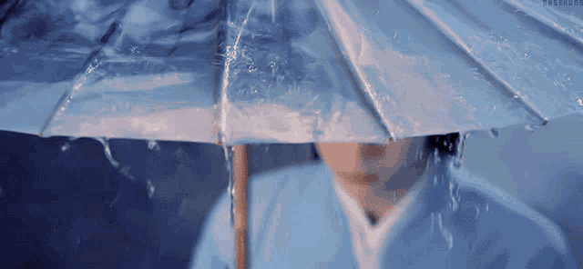 The Untamed Lan Wangji GIF