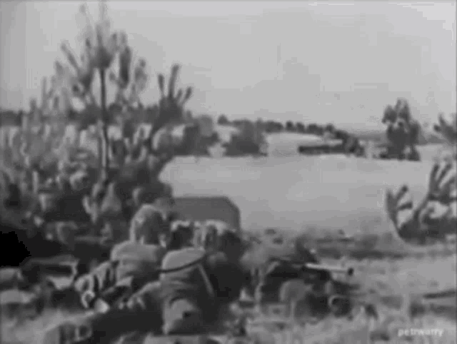 Panzer War GIF - Panzer War GIFs