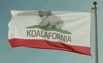 樹熊 GIF - Koala Flag California GIFs