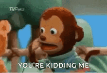 a stuffed monkey is saying `` you 're kidding me '' while being held by a person .