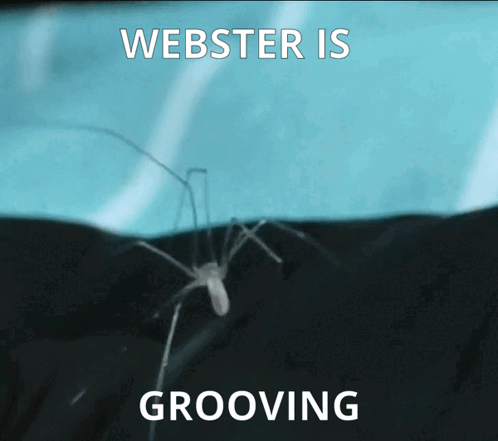 Webster Spider GIF - Webster Spider Dance GIFs