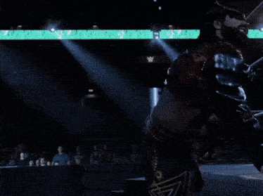 a wrestler in a mask is standing in a ring with a green banner behind him