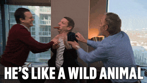 Hes Like A Wild Animal I Think You Should Leave With Tim Robinson GIF - Hes Like A Wild Animal I Think You Should Leave With Tim Robinson Hes Gone Crazy GIFs