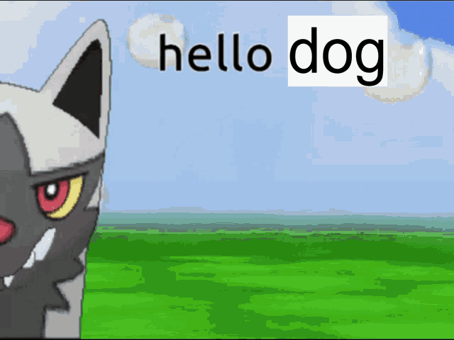 a picture of a cat says hello dog