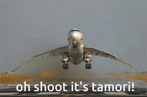 Tamori Airplane GIF - Tamori Airplane Plane GIFs