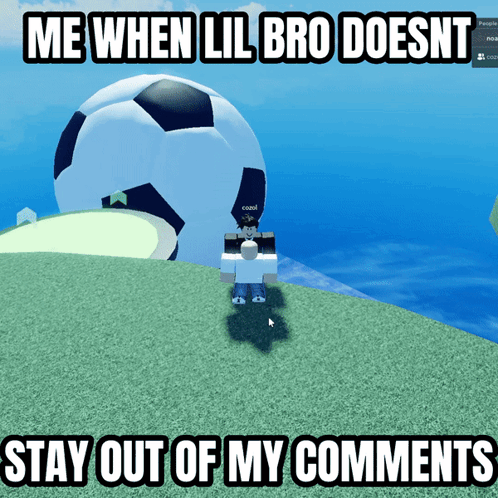 Meme Memes GIF - Meme Memes Lil Bro GIFs