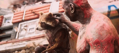 a man petting a raccoon with the letter r on the bottom