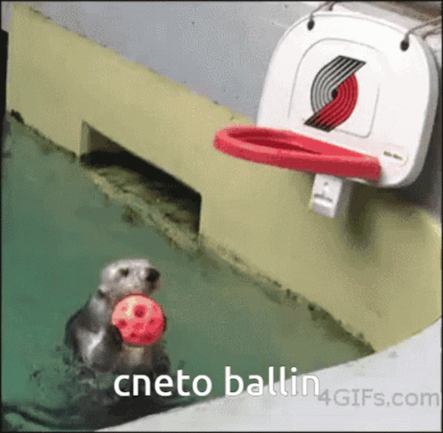 Cneto Ballin GIF - Cneto Ballin Balling GIFs