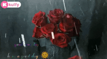 a bouquet of red roses in a vase with the words `` good morning i have a great day ''