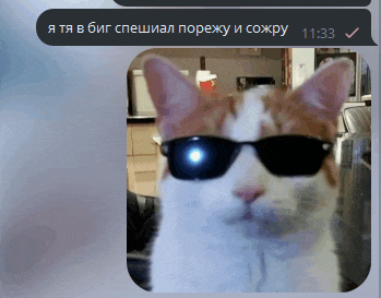 a picture of a cat wearing sunglasses with a message in another language