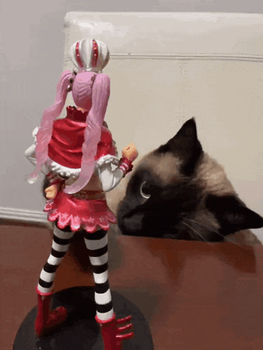 a cat is looking at a statue of a girl