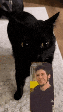 a black cat standing next to a picture of a man wearing a black adidas shirt