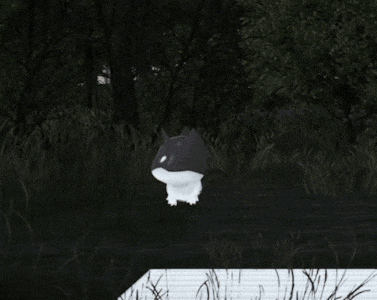 a person standing next to a small black and white cat