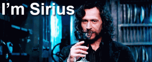 I'M Sirius GIF - Serious Siriusblack Harrypotter GIFs