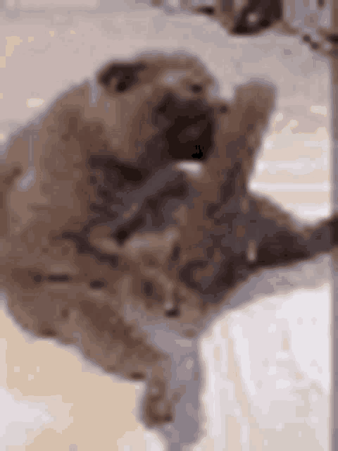 a dog is scratching its paw on a pole on the ground .