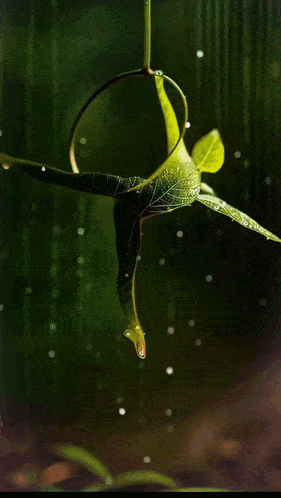 a painting of a fairy hanging from a plant with a purple ball in the background