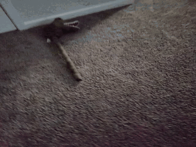 a stuffed animal with red teeth is sitting on a carpeted floor .