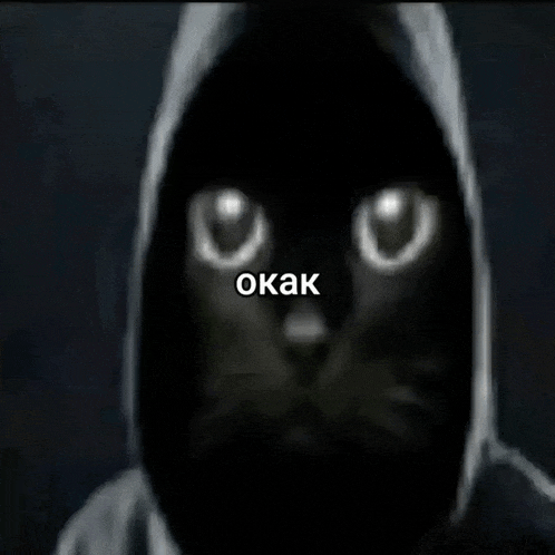 a black cat wearing a hooded jacket with the word okak on the bottom right