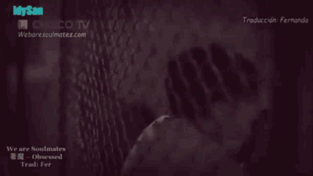 a video that says ' we are soulmates obsessed ' on it
