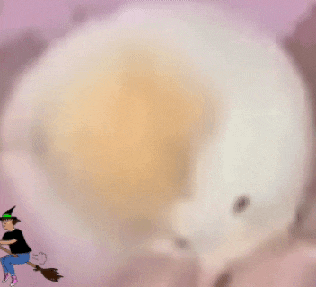 a witch is flying on a broom in front of a giant egg