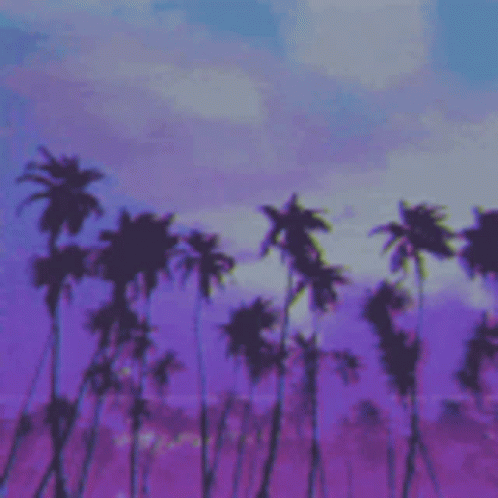 Palm Trees GIF - Palm Trees Sun Set GIFs
