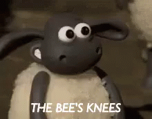 The Bee'S Knees GIF
