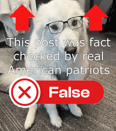 a white dog wearing glasses is next to a button that says this post was fact checked by real american patriots